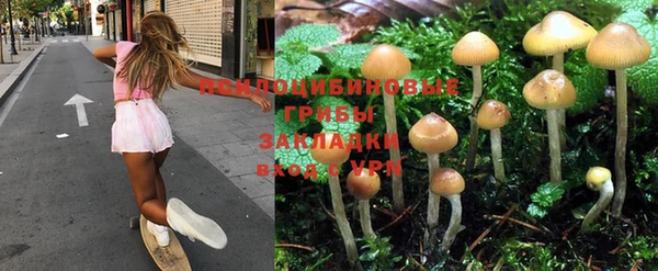 ALPHA PVP Баксан