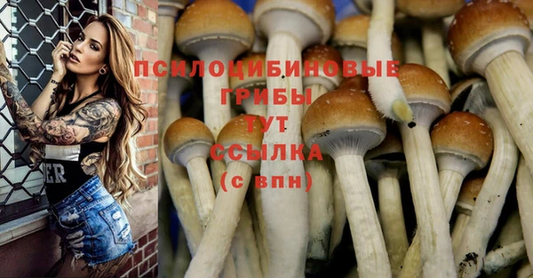 кристаллы Армянск