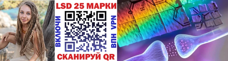где можно купить Кинель Марки N-bome 1,8мг