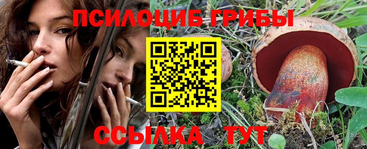 Галлюциногенные грибы Psilocybine cubensis Кинель