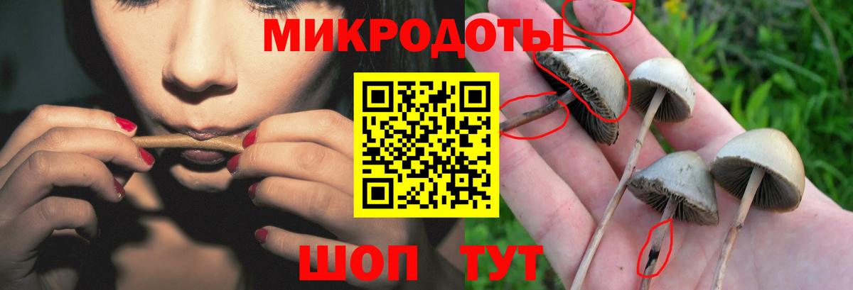 Кинель  Псилоцибиновые грибы прущие грибы  Вход с VPN 